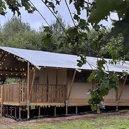 Cherry Tree Safari Lodge Talaton Ngoại thất bức ảnh