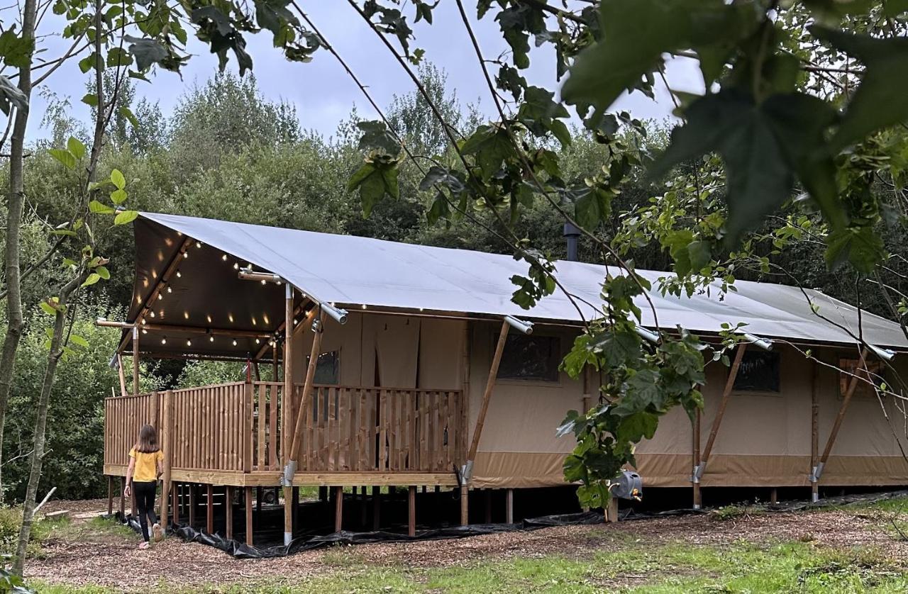Cherry Tree Safari Lodge Talaton Ngoại thất bức ảnh
